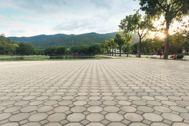 Professional Driveway Pavers in Manito, IL